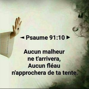 Meet your Posher, Rose